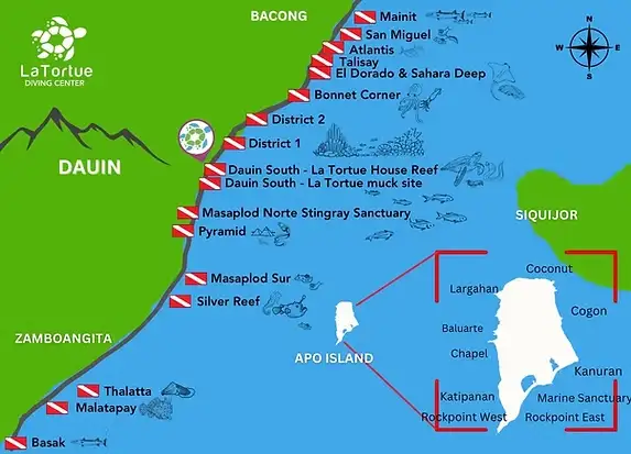 Carte de la côte de Dauin et des sites d'Apo Island près de La Tortue Diving Center